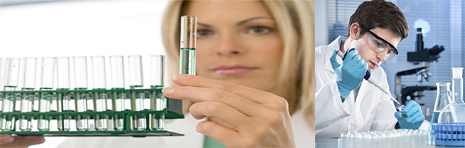 highly precise qualitative and quantitative results into precious and other metals analysis
